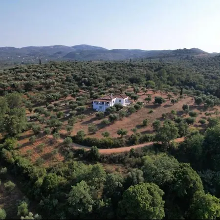 Kochyli Νέα Κορώνη